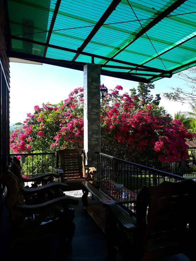 Villa Del Carmen Haven Bohol Buitenkant foto