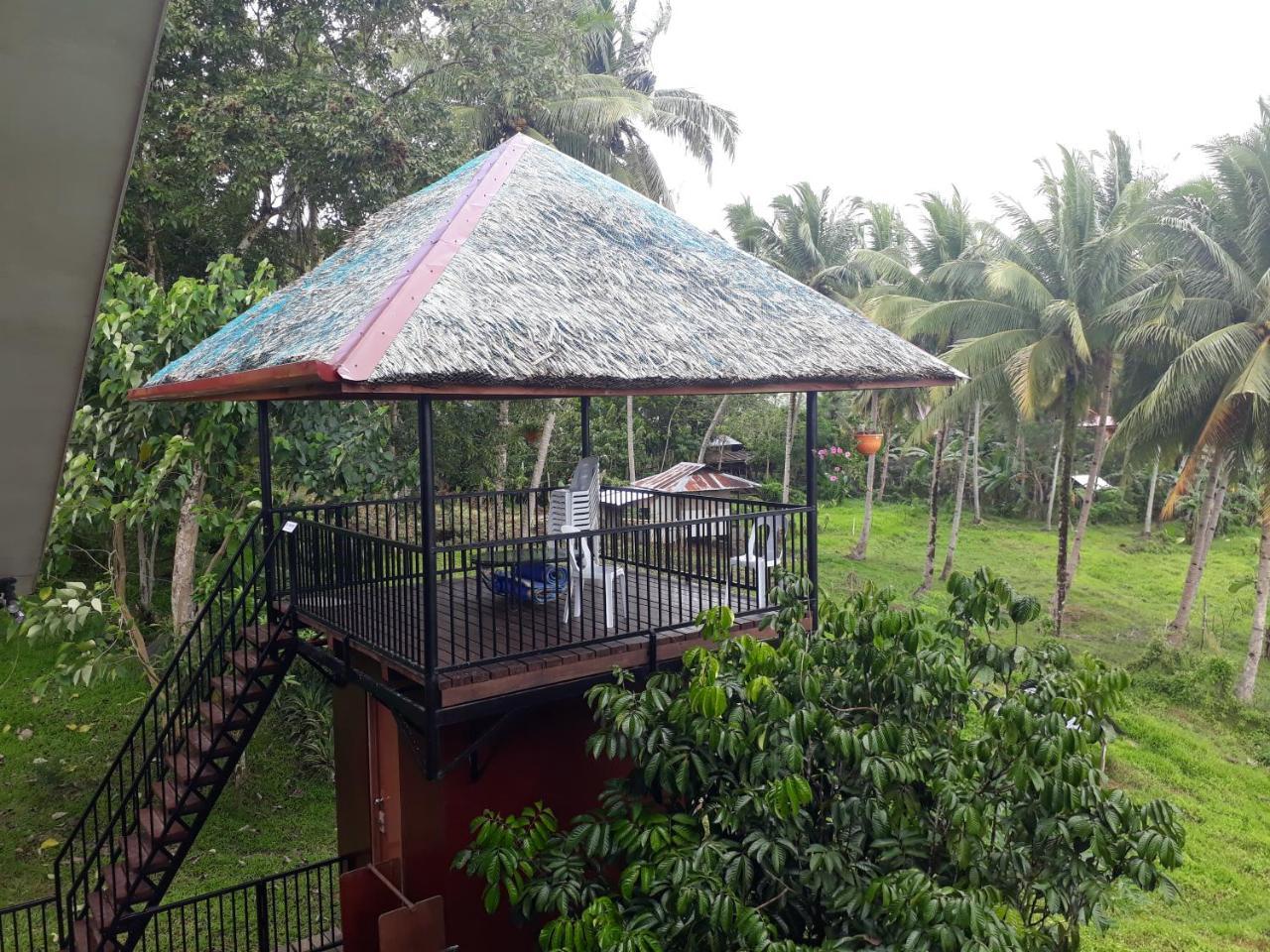 Villa Del Carmen Haven Bohol Buitenkant foto