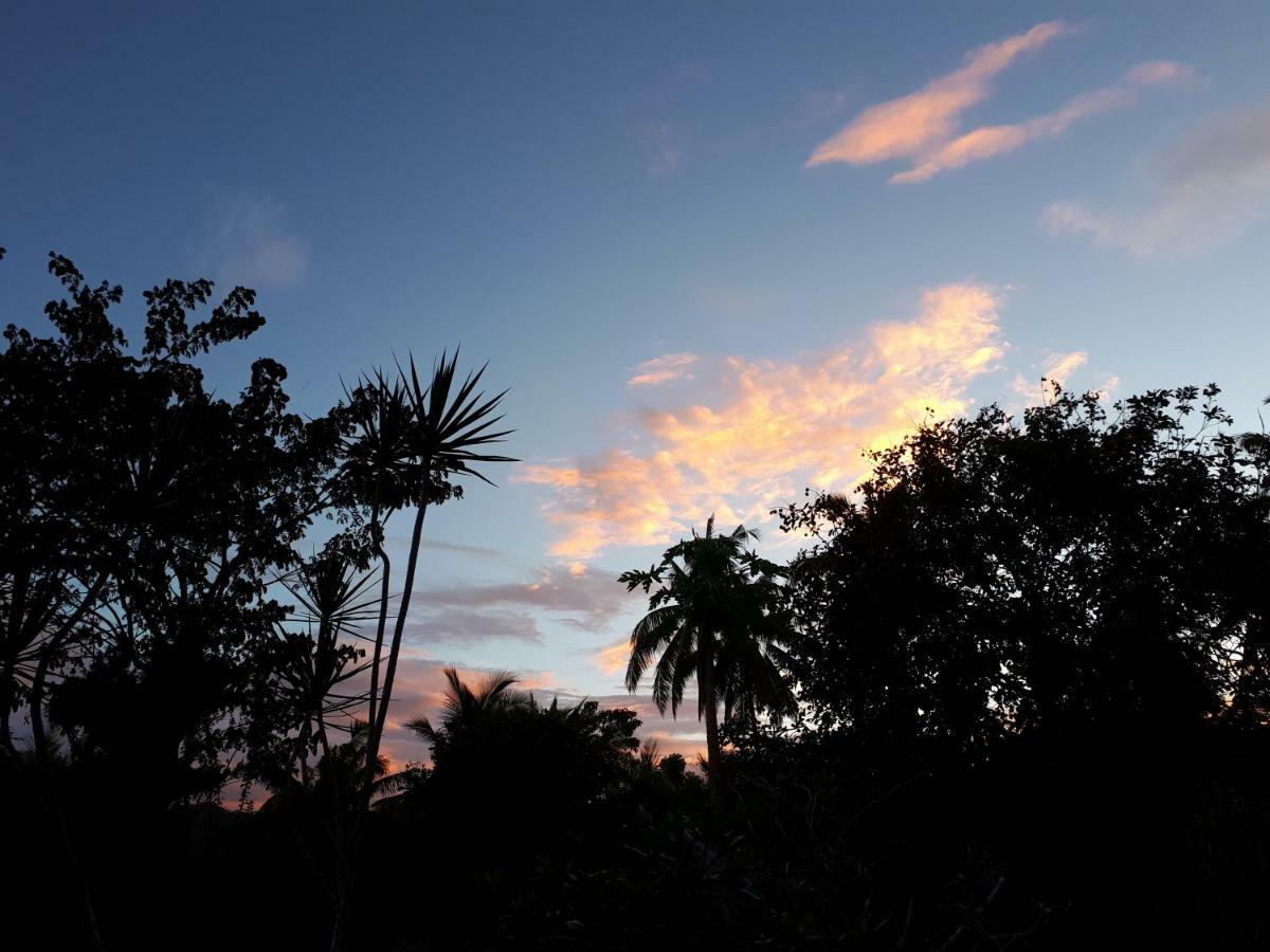 Villa Del Carmen Haven Bohol Buitenkant foto