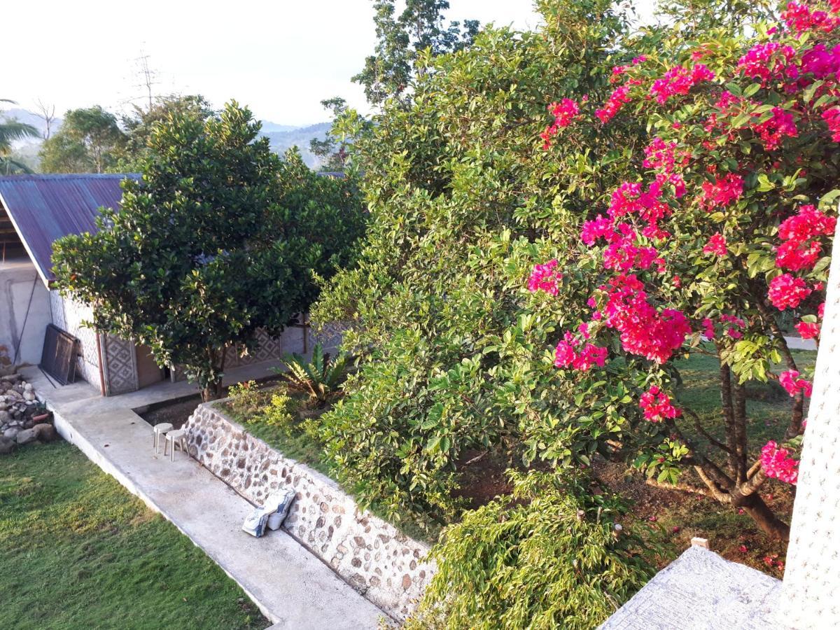 Villa Del Carmen Haven Bohol Buitenkant foto