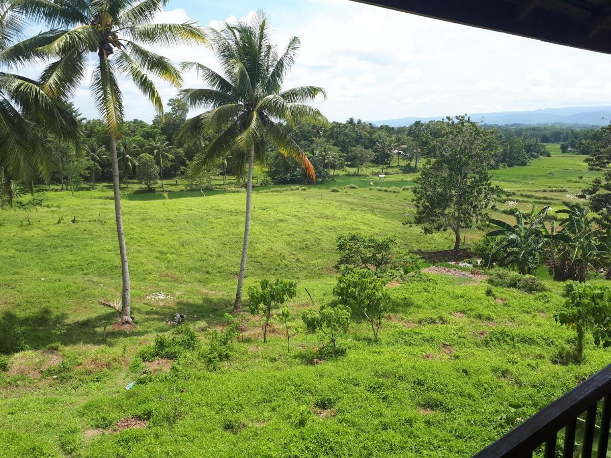 Villa Del Carmen Haven Bohol Buitenkant foto